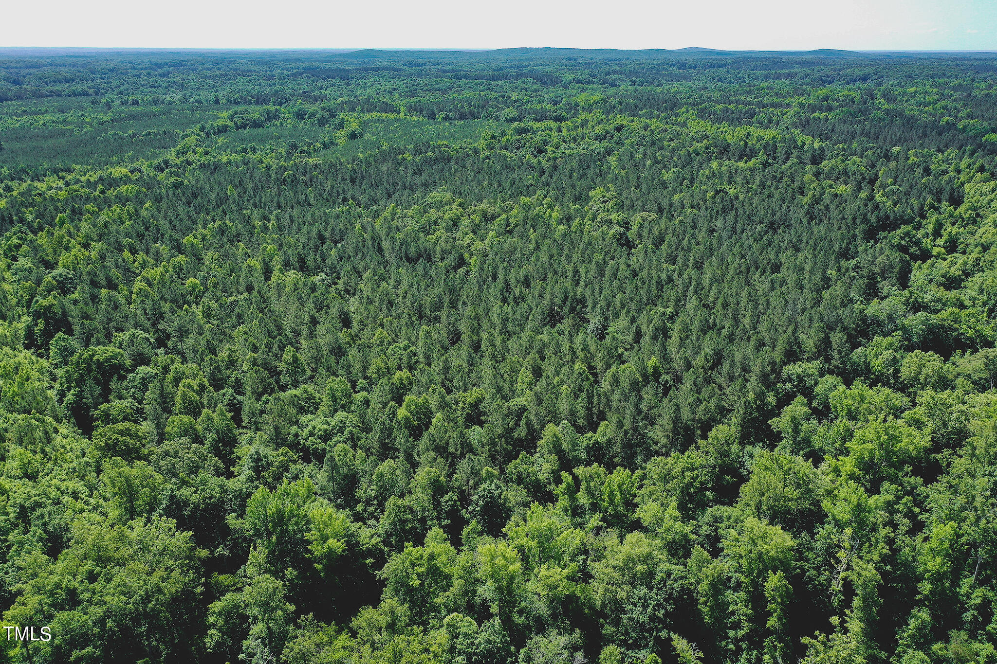 111-acres Hobgood Road Rougemont, NC 27572 - Photo 39 of 65 39