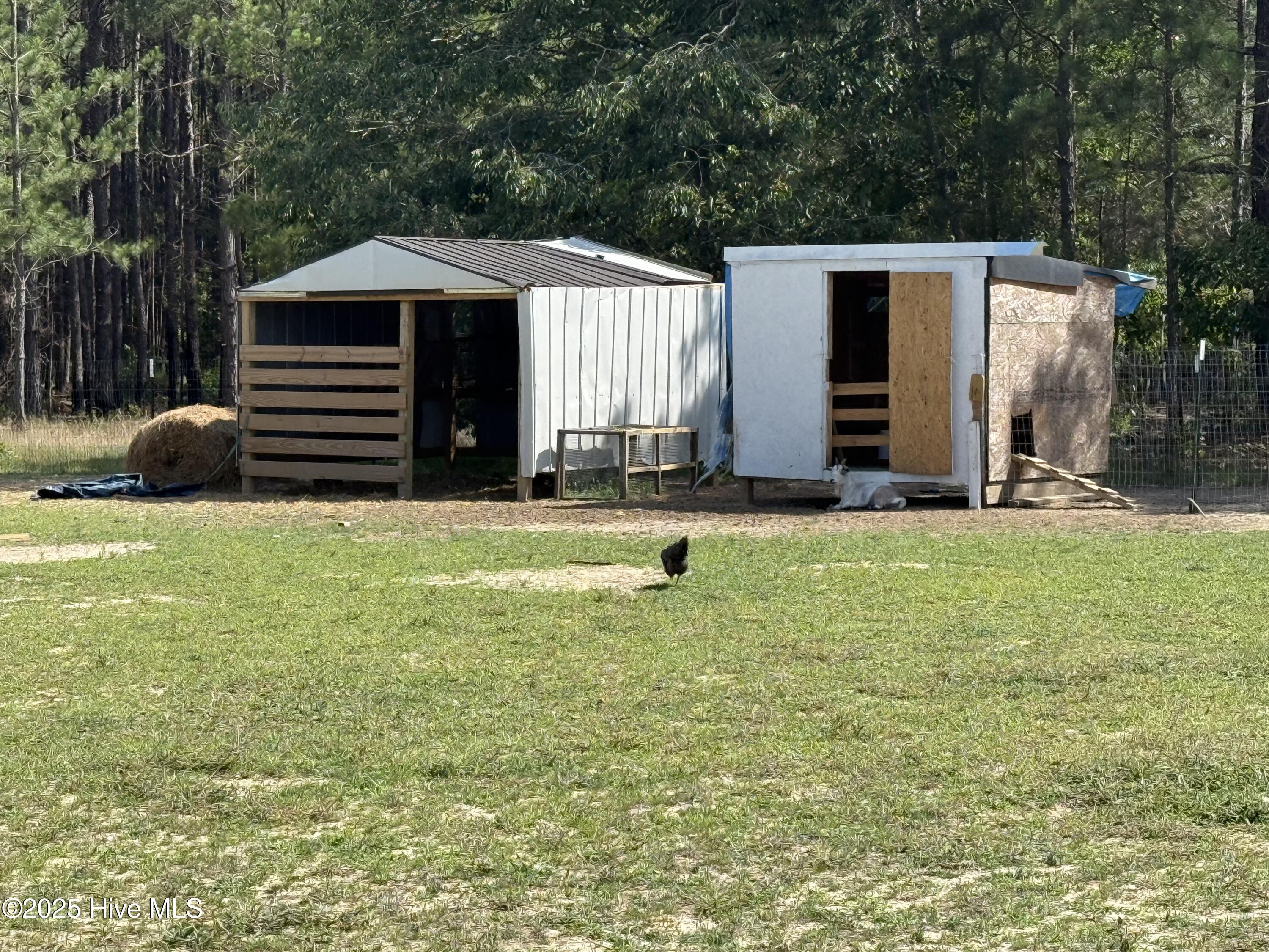742 Ghio Road Hamlet, NC 28345 - Photo 15 of 31 IMG_8994