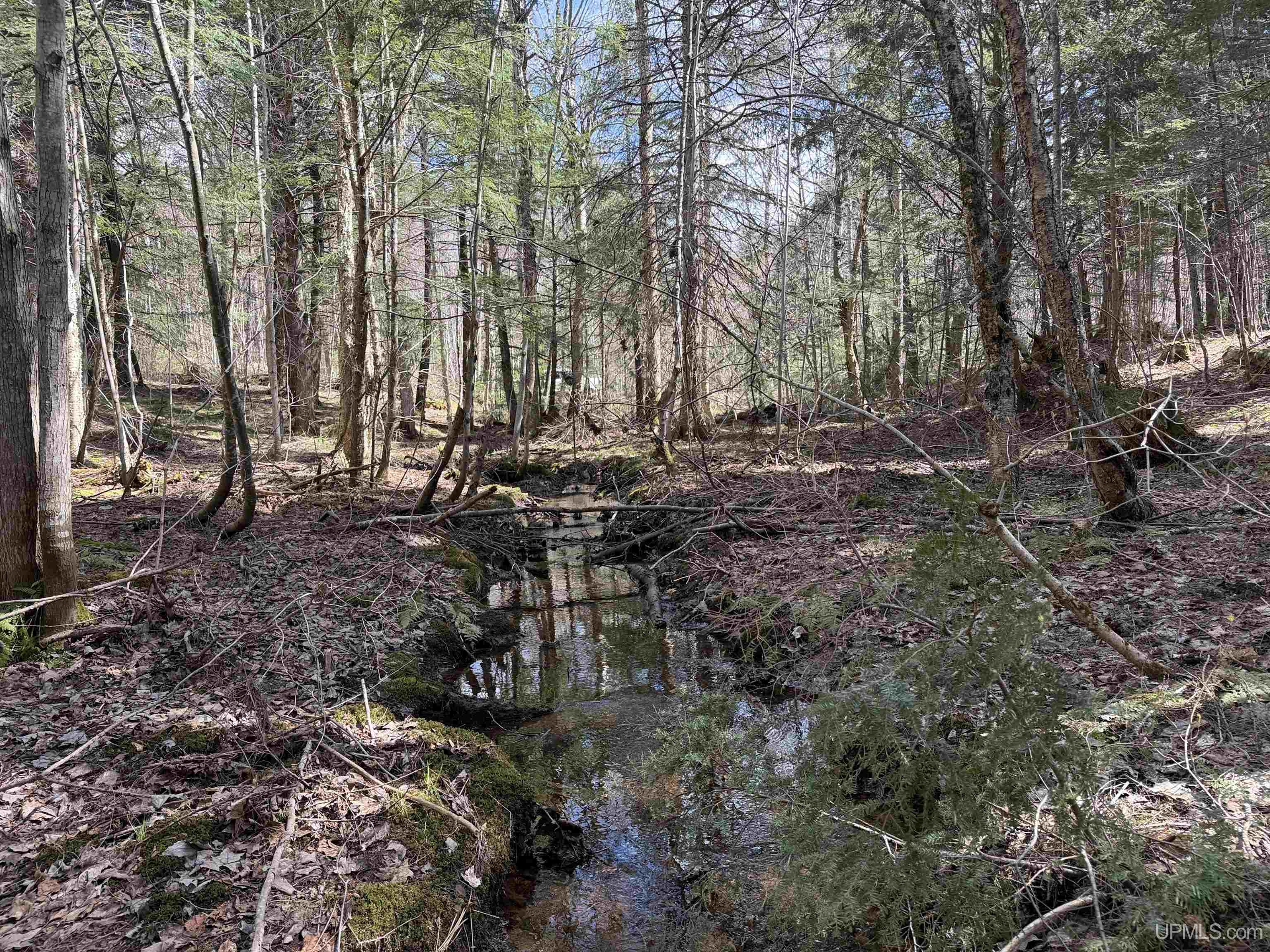 Off Black River Road Ironwood, MI 49938 - Photo 18 of 31