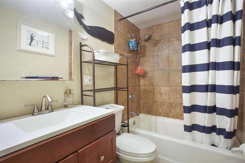 1670 Washington Street, Unit 6 Boston, MA 02118 - Photo 11 of 17 a bathroom with a sink a toilet and shower