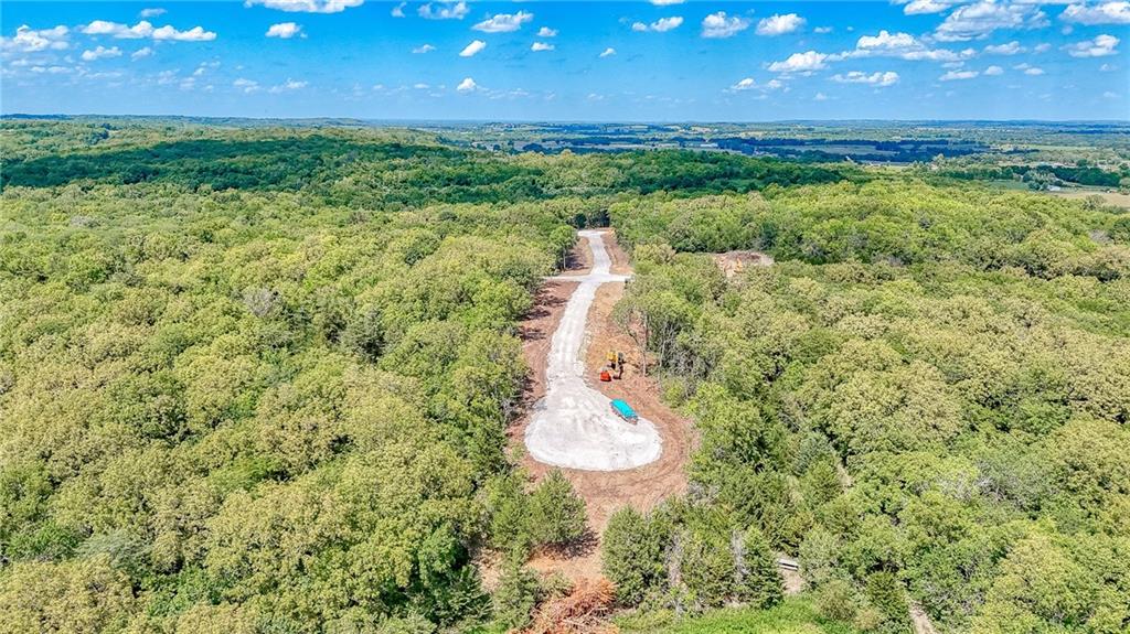 Lot 21 Deer View Estates Road Holden, MO 64040 - Photo 12 of 33