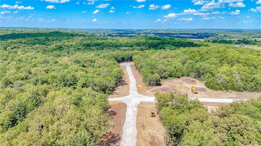 Lot 21 Deer View Estates Road Holden, MO 64040 - Photo 14 of 33