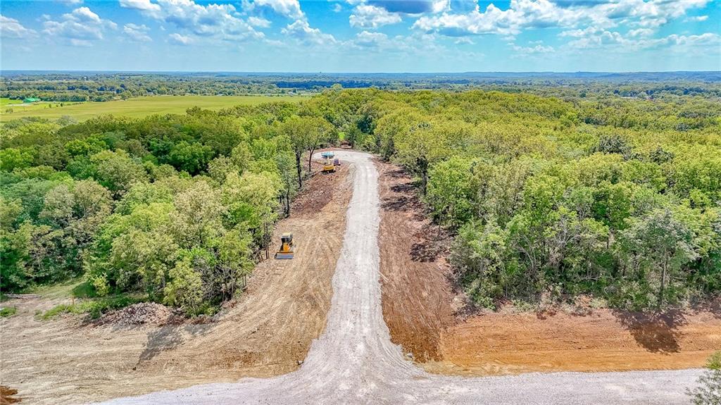 Lot 21 Deer View Estates Road Holden, MO 64040 - Photo 18 of 33