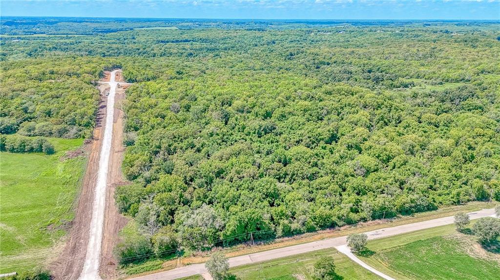 Lot 21 Deer View Estates Road Holden, MO 64040 - Photo 2 of 33