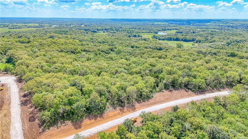 Lot 21 Deer View Estates Road Holden, MO 64040 - Photo 25 of 33