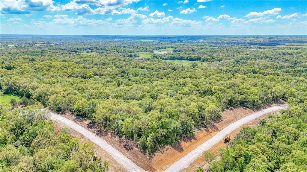 Lot 21 Deer View Estates Road Holden, MO 64040 - Photo 28 of 33