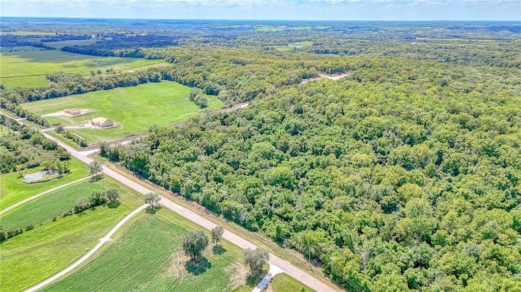 Lot 21 Deer View Estates Road Holden, MO 64040 - Photo 3 of 33