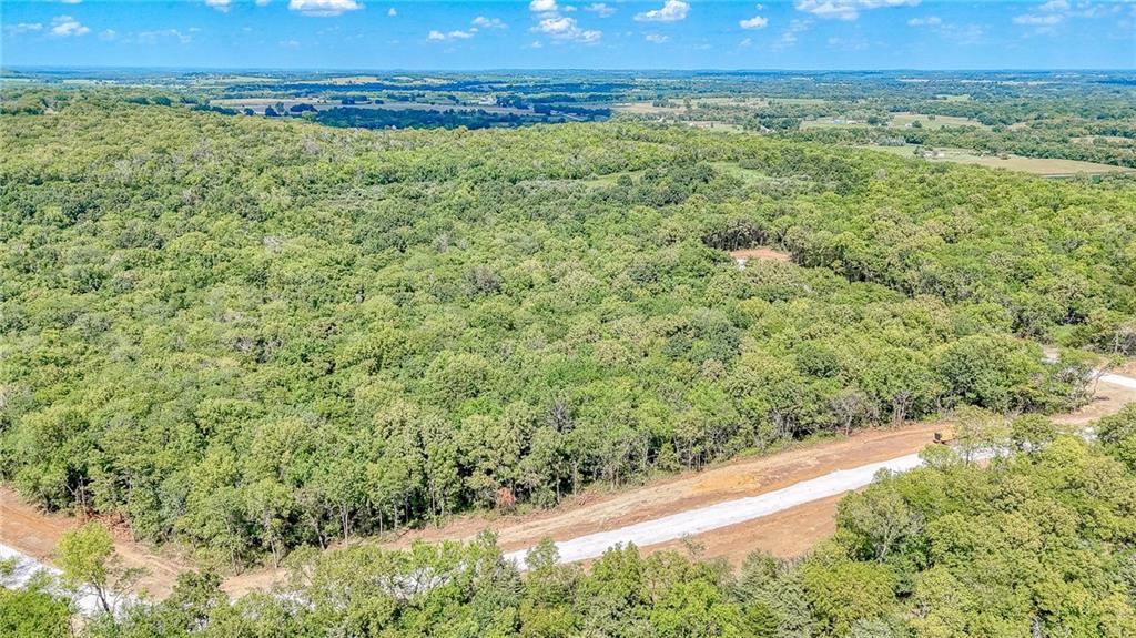 Lot 21 Deer View Estates Road Holden, MO 64040 - Photo 31 of 33