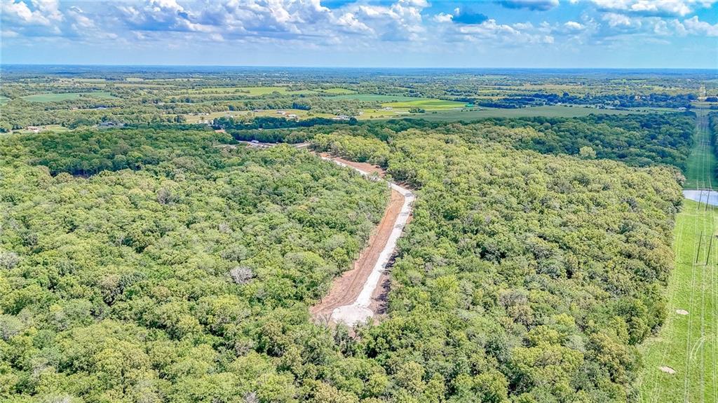 Lot 21 Deer View Estates Road Holden, MO 64040 - Photo 4 of 33