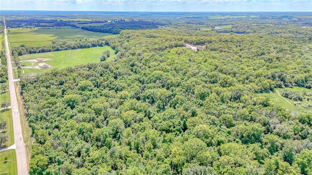 Lot 21 Deer View Estates Road Holden, MO 64040 - Photo 5 of 33