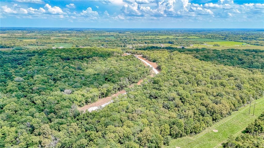 Lot 21 Deer View Estates Road Holden, MO 64040 - Photo 6 of 33