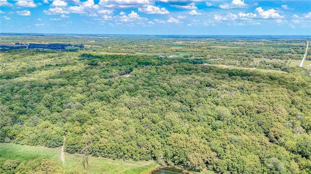Lot 21 Deer View Estates Road Holden, MO 64040 - Photo 8 of 33