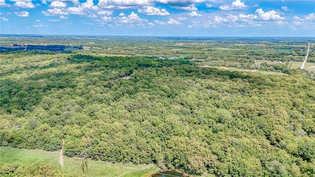 Lot 21 Deer View Estates Road Holden, MO 64040 - Photo 10 of 33