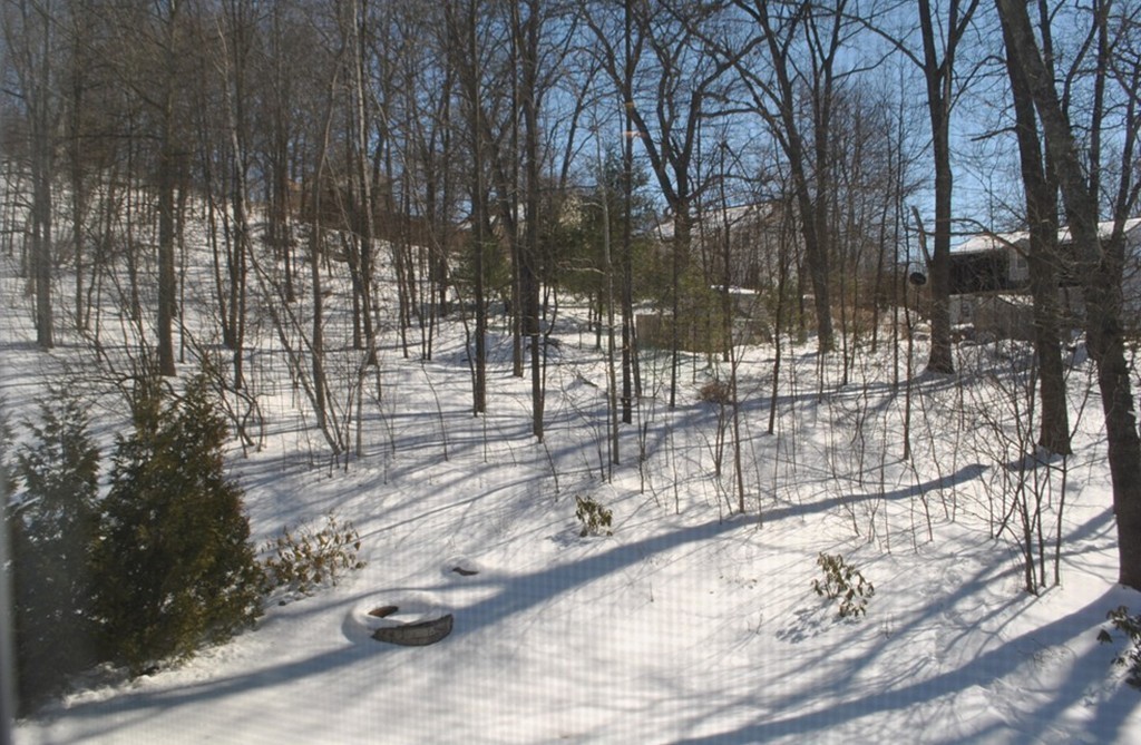 8 Honeysuckle Road Worcester, MA 01607 - Photo 27 of 27 a view of backyard with wooden fence