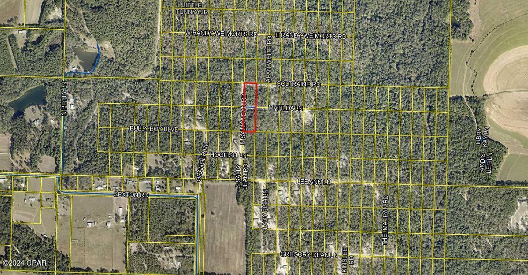 0 South Sally Jean Road DeFuniak Springs, FL 32433 - Photo 3 of 17