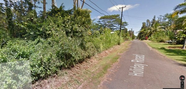 845 Holiday Road Pahoa, HI 96778 - Photo 1 of 2 Gallery Image 1
