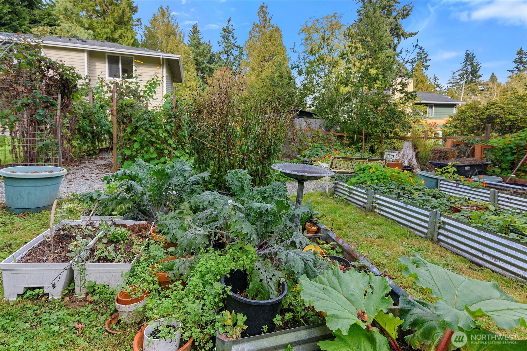 10211 Northeast Roberts Road Bainbridge Island, WA 98110 - Photo 36 of 39 a view of a backyard with plants
