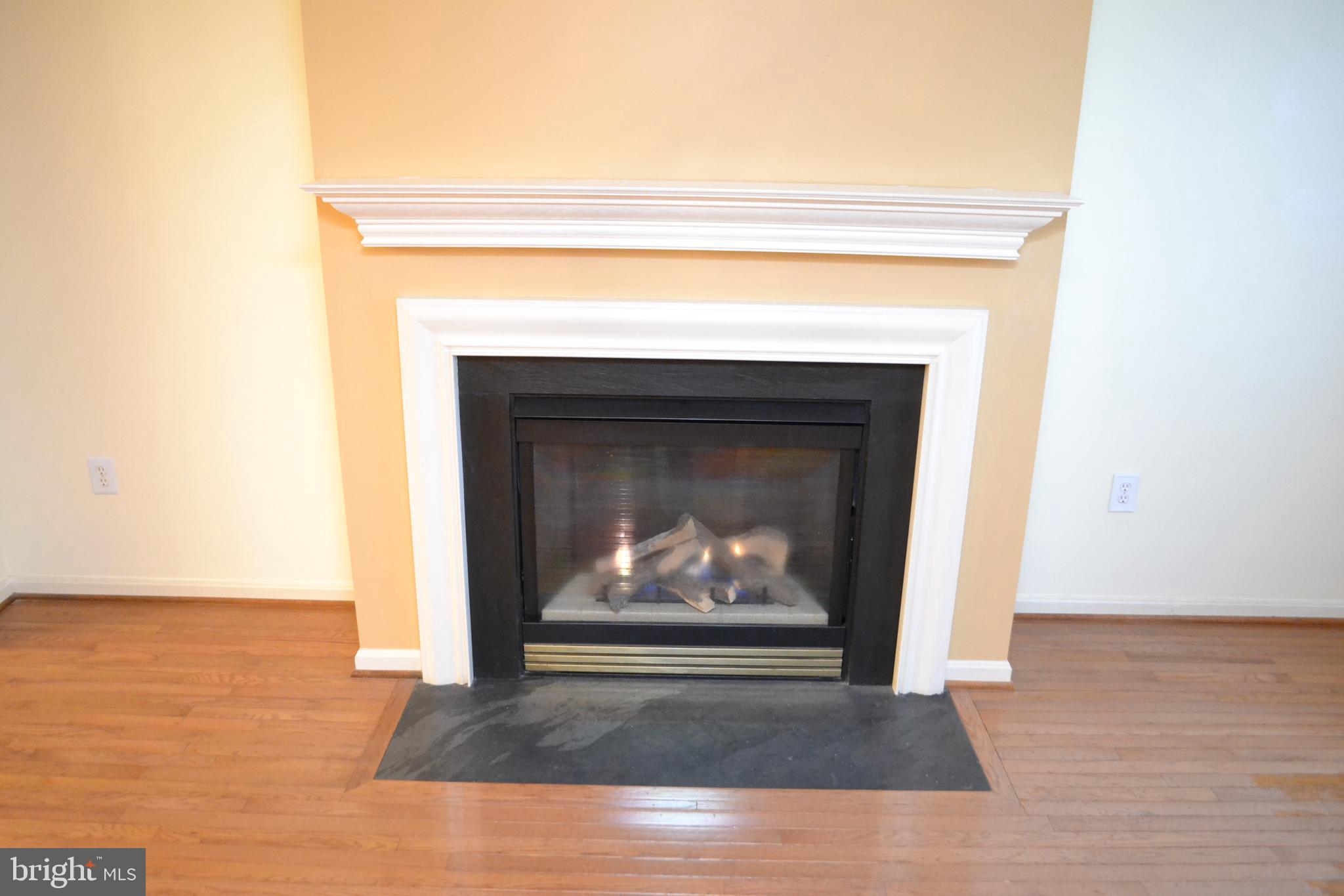 2202 Garden Lane Frederick, MD 21701 - Photo 6 of 50 a living room with a fireplace