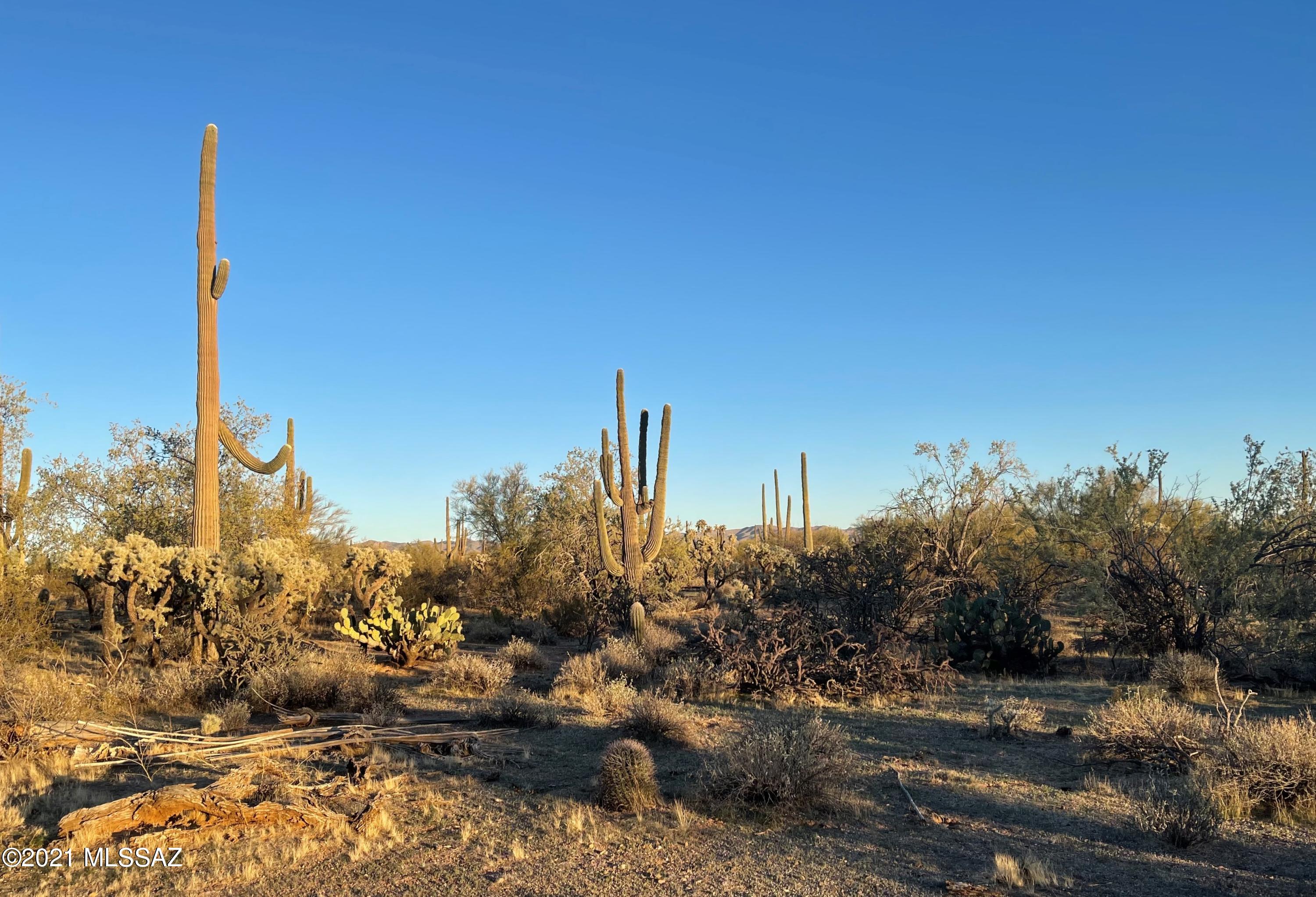 South Cattle Tank Road, Unit 20 Marana, AZ 85658 - Photo 6 of 20