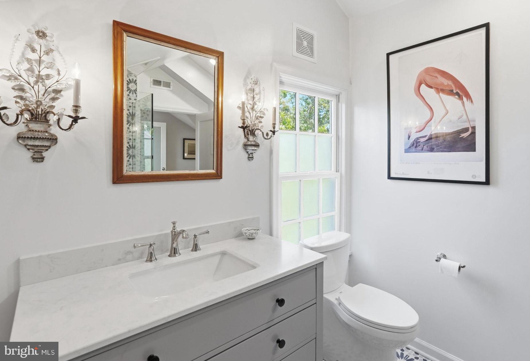 6814 Brookville Road Chevy Chase, MD 20815 - Photo 28 of 39 Elegant bathroom with natural light.