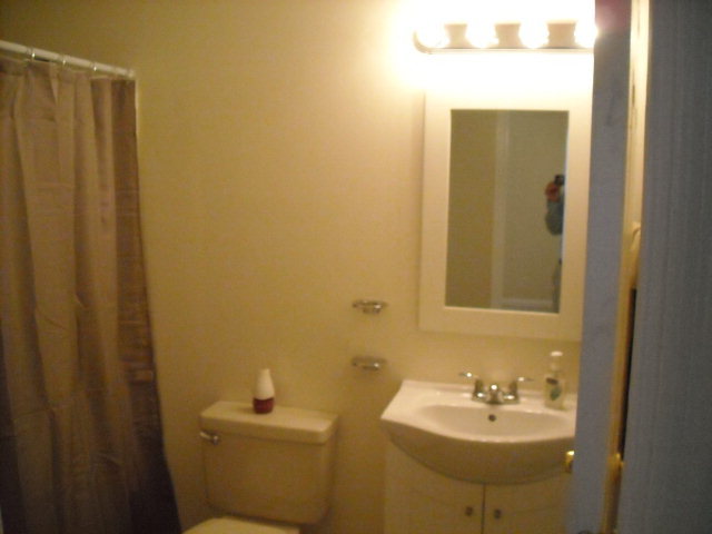 5899 Mt Pleasant Church Road Macon, GA 31216 - Photo 6 of 11 a bathroom with a sink and mirror