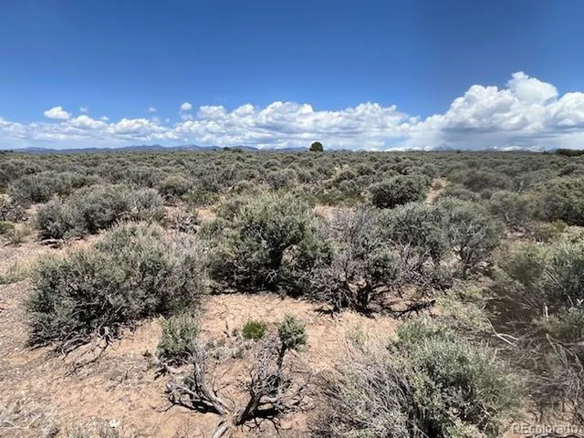 a view of a yard of a house