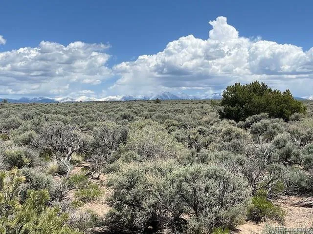 a view of a bunch of trees and sky view