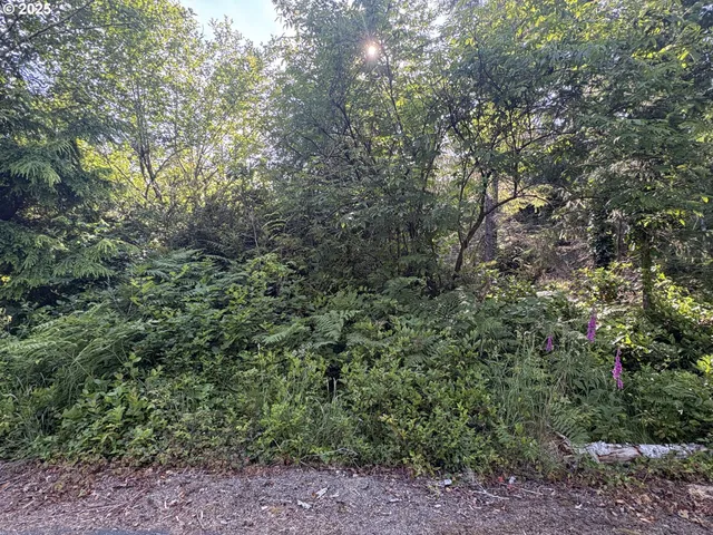 $29,900 | 285 Xx Z Street, Ocean Park, WA 98640