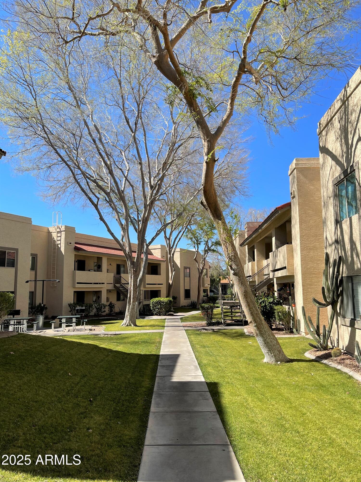 145 North 74th Street, Unit 236 Mesa, AZ 85207 - Photo 13 of 16 IMG_5951