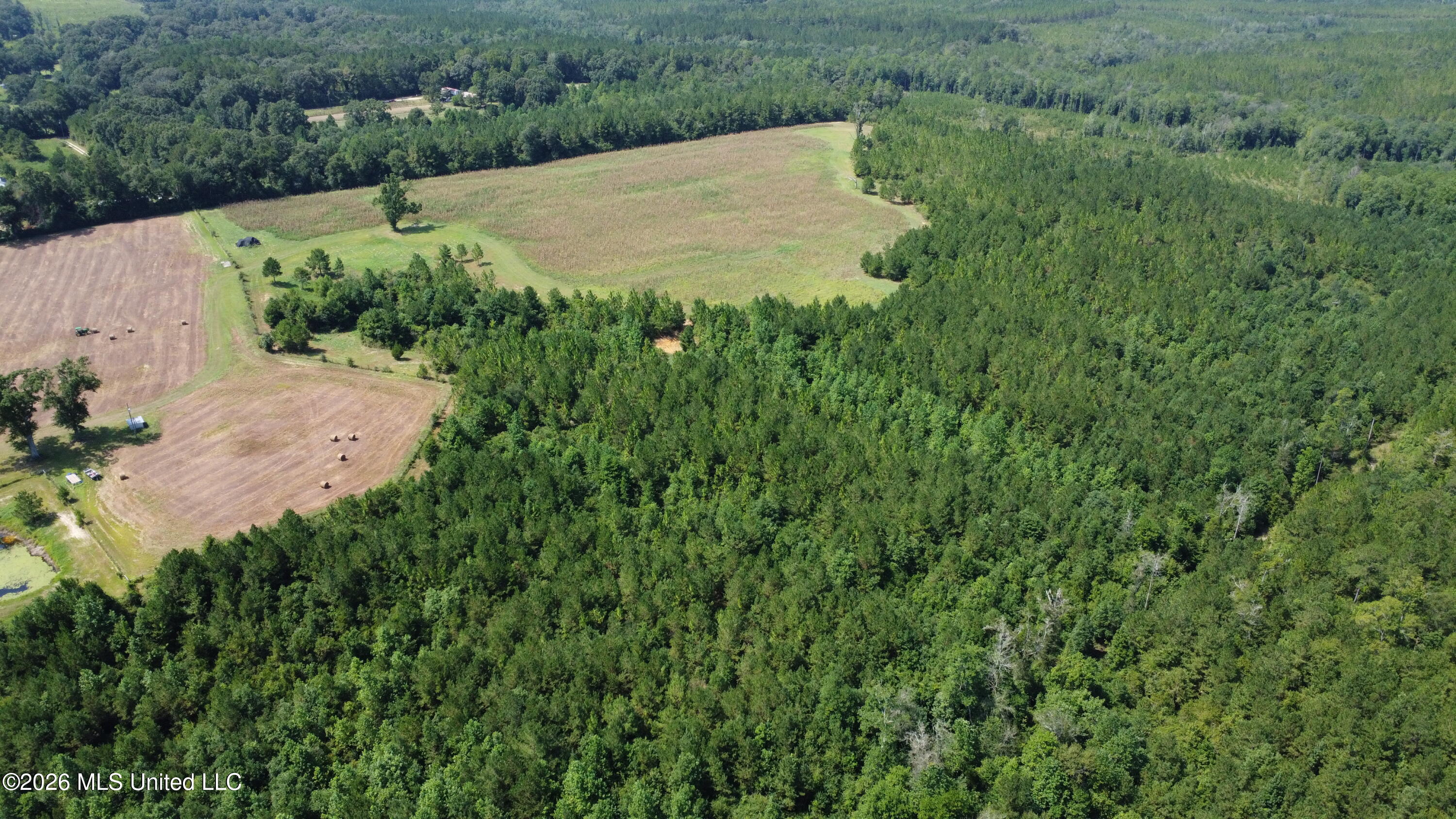 64.9 Neely Avera Road Neely, MS 39461 - Photo 11 of 12 DJI_0470