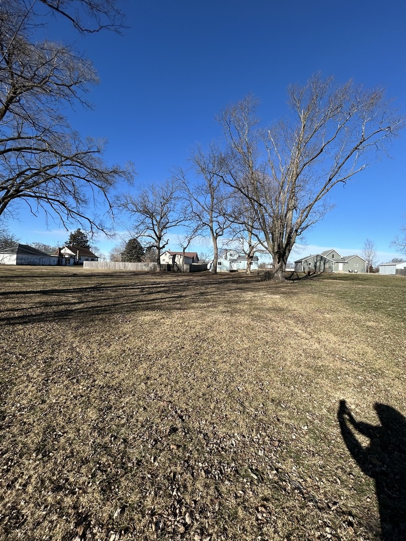 129 West Main Street Amboy, IL 61310 - Photo 33 of 40 a view of a yard next to a building