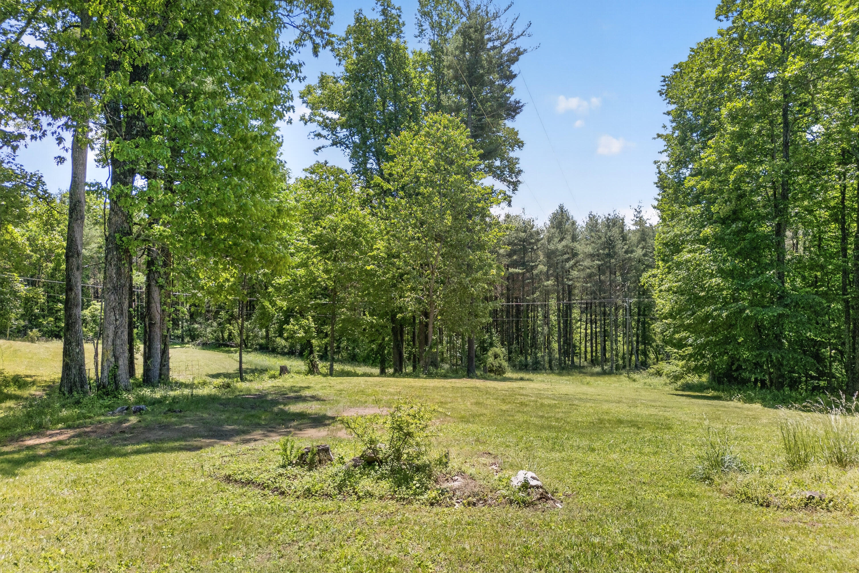 644 Daniels Run Road Northeast Copper Hill, VA 24079 - Photo 59 of 75 Copper Hill-73