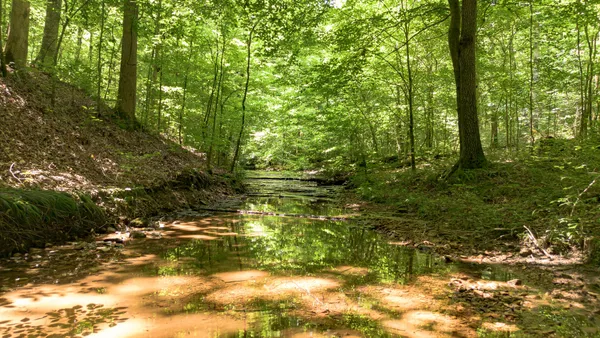 $2,800,000 | 8234 Old Pond Creek Road, Pegram, TN 37143
