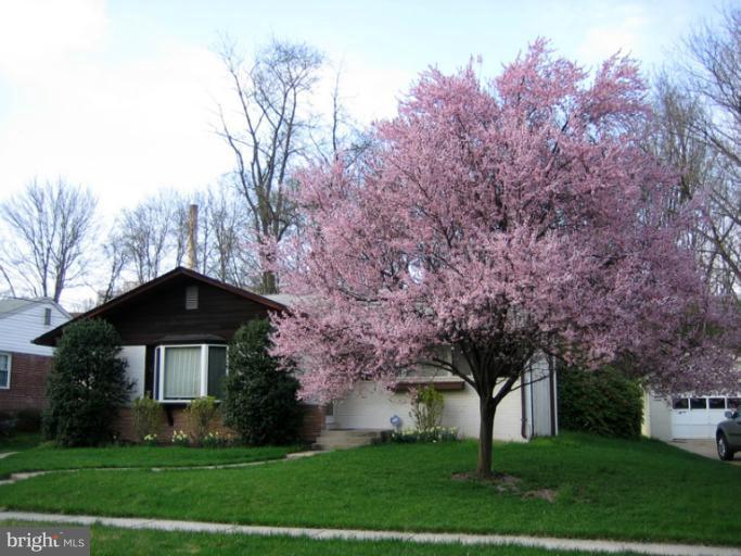 In Bloom