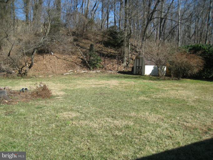 1509 Flora Lane Silver Spring, MD 20910 - Photo 13 of 21 Back Yard