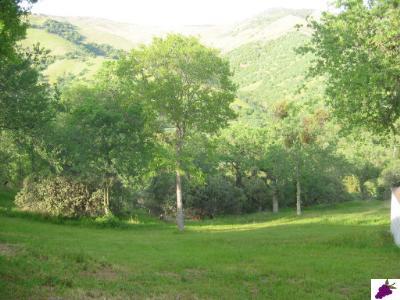 30909 East Trimmer Springs Road Sanger, CA 93657 - Photo 2 of 7 Gallery Image 2