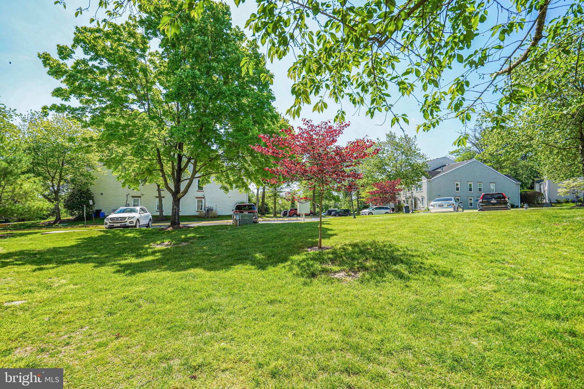 1719 Wilcox Lane Silver Spring, MD 20906 - Photo 34 of 37 Gallery Image 34