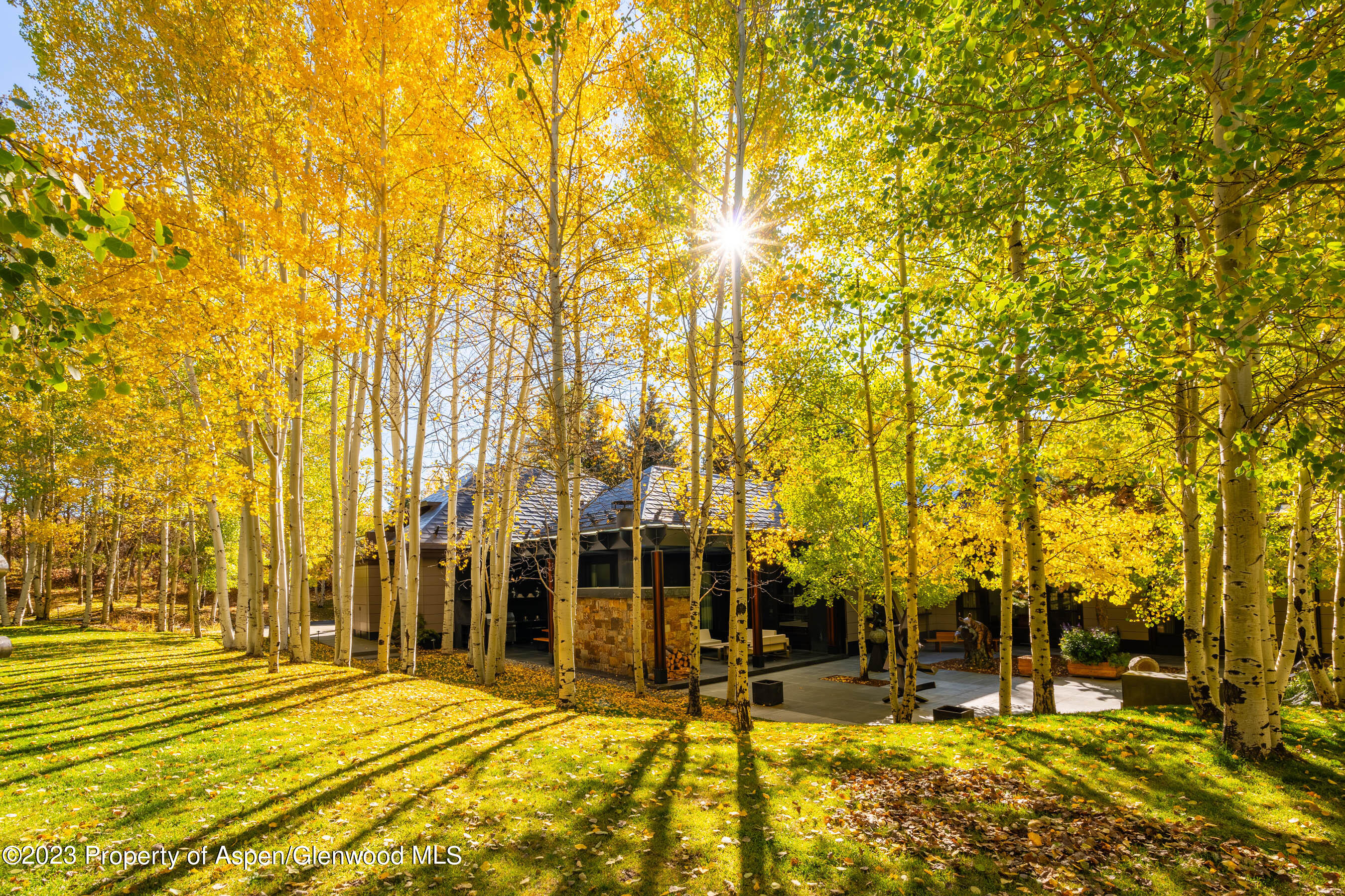 600 Owl Creek Ranch Road Aspen, CO 81611 - Photo 15 of 84 a view of swimming pool with outdoor seating and house in the background