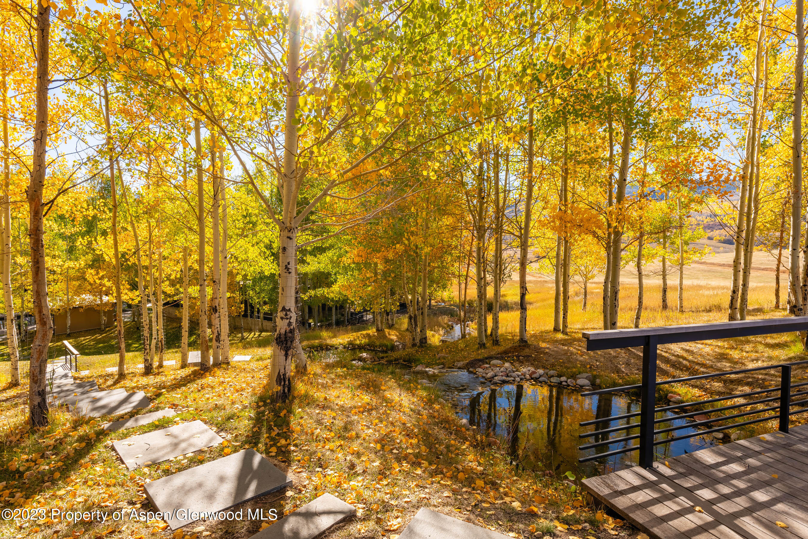 600 Owl Creek Ranch Road Aspen, CO 81611 - Photo 29 of 84 Fall Foliage at the Ranch