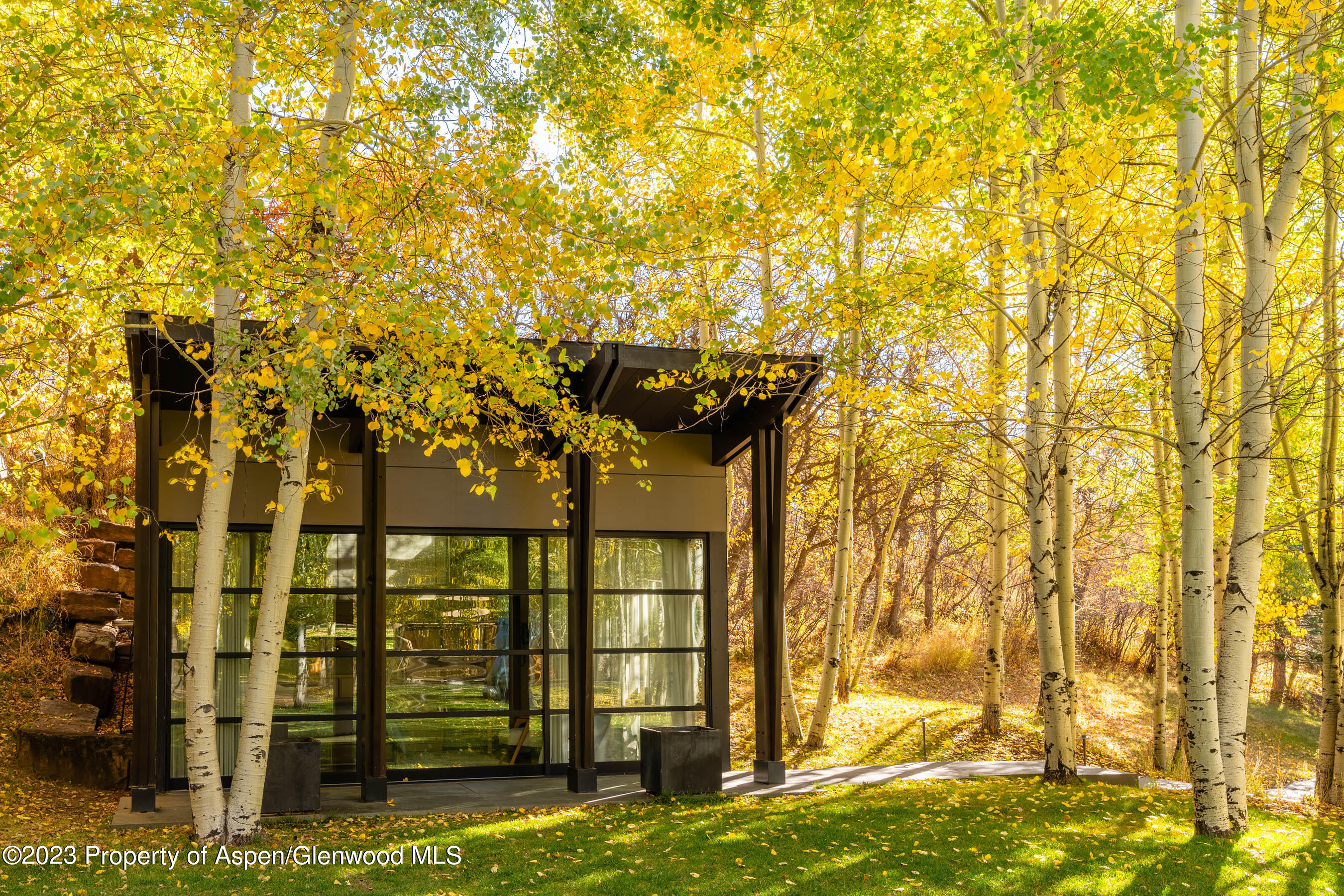 600 Owl Creek Ranch Road Aspen, CO 81611 - Photo 54 of 84 a view of swimming pool from a yard