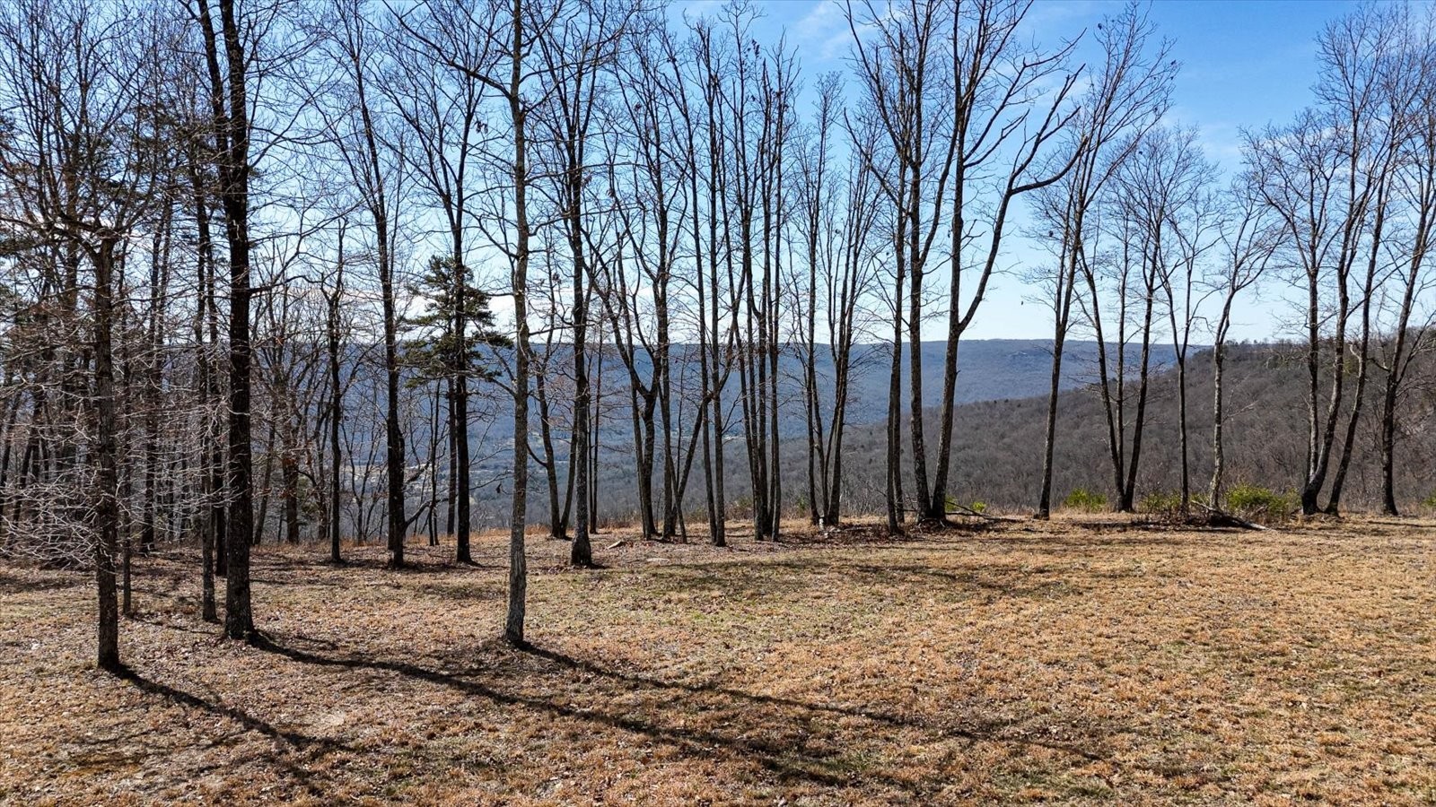 7 A Raulston Fls Road Jasper, TN 37347 - Photo 16 of 66