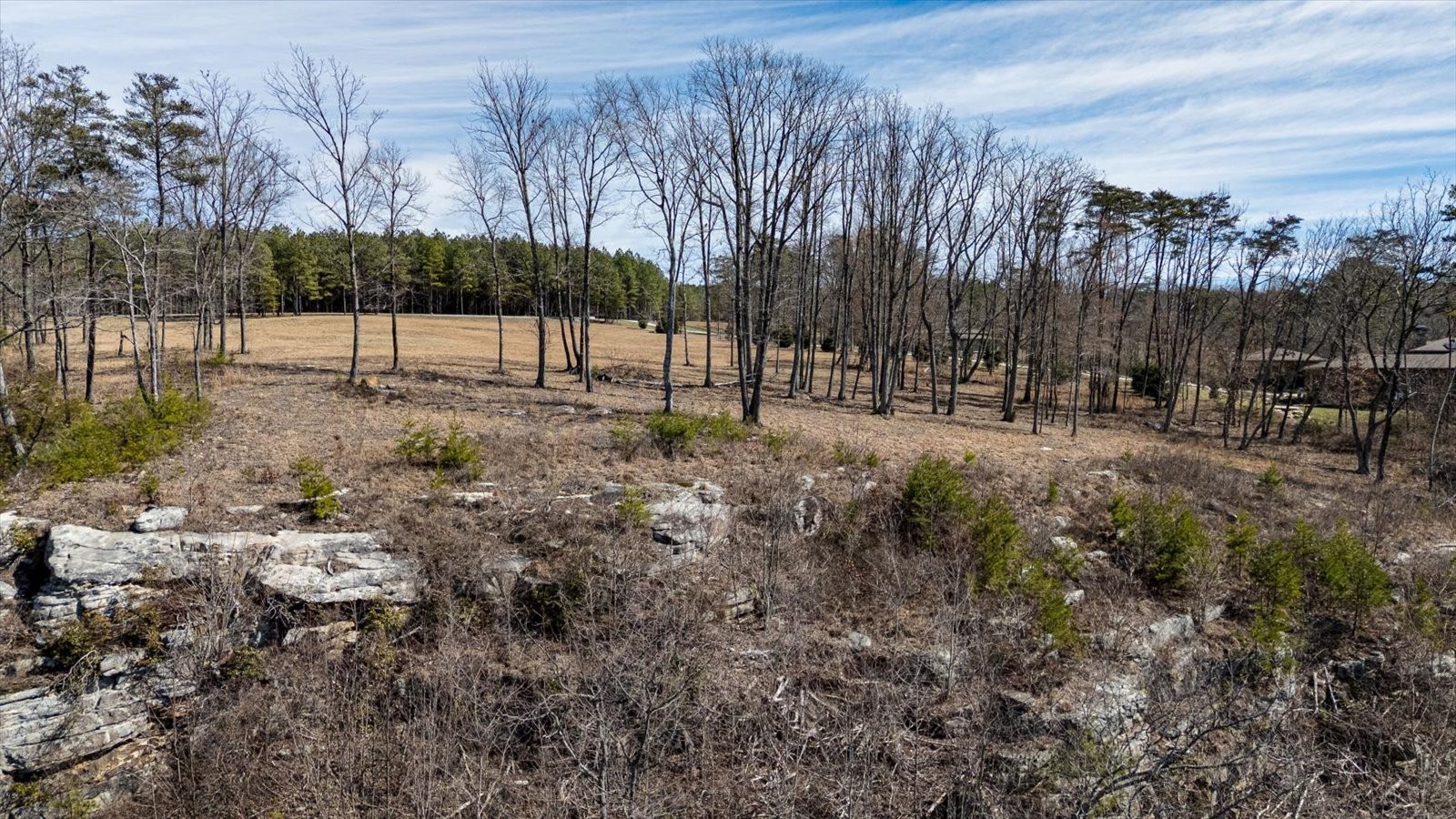 7 A Raulston Fls Road Jasper, TN 37347 - Photo 19 of 66 a view of a park with large trees