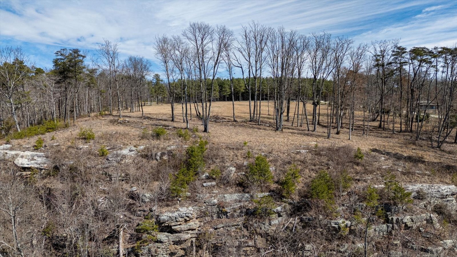7 A Raulston Fls Road Jasper, TN 37347 - Photo 20 of 66 a view of outdoor space with trees