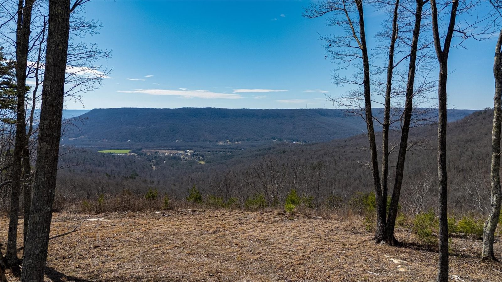 7 A Raulston Fls Road Jasper, TN 37347 - Photo 3 of 66 a view of a yard with a tree