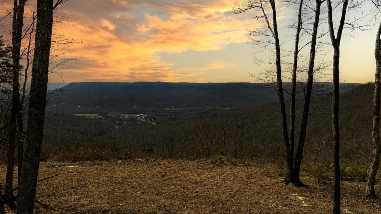 7 A Raulston Fls Road Jasper, TN 37347 - Photo 4 of 66 a view of outdoor space and yard