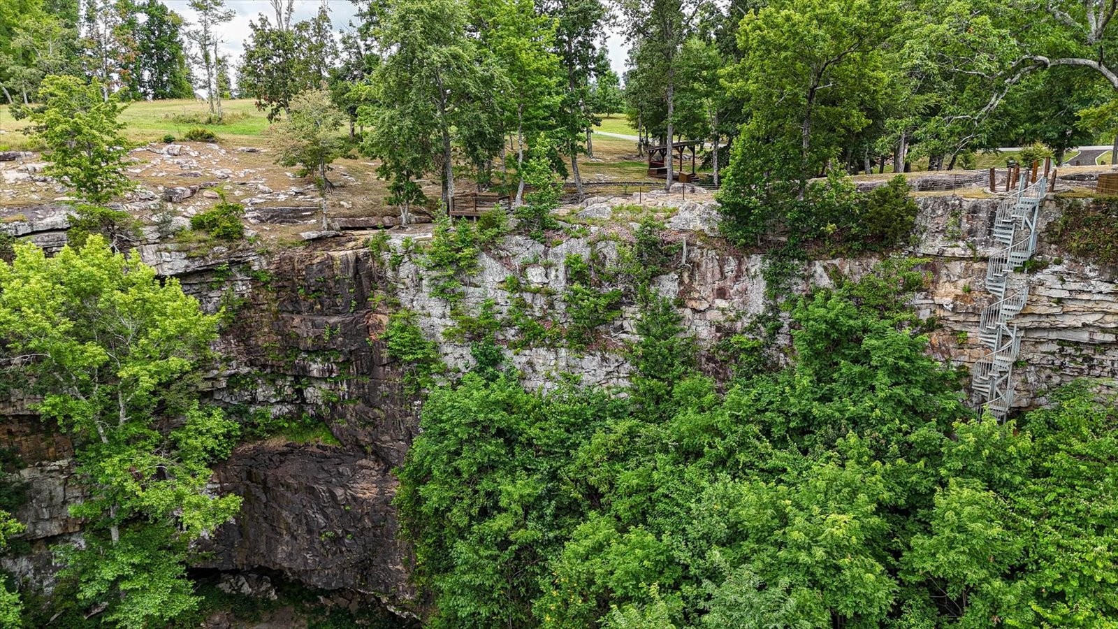 7 A Raulston Fls Road Jasper, TN 37347 - Photo 65 of 66 a view of a garden with plants and large trees