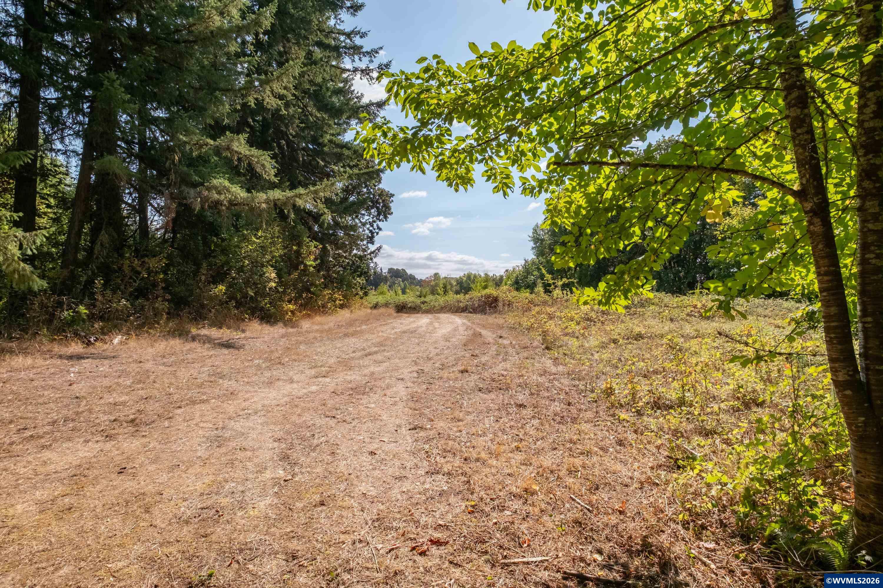 Pp2020-49 Lot#2 North Pp2020-49 Road Albany, OR 97321 - Photo 7 of 36
