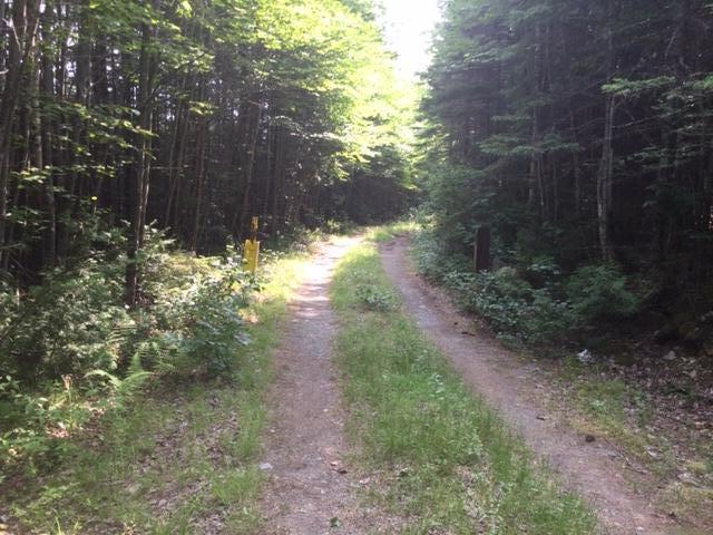 Lot 4 Dead End Road West Forks, ME 04985 - Photo 2 of 2 IMG_3469