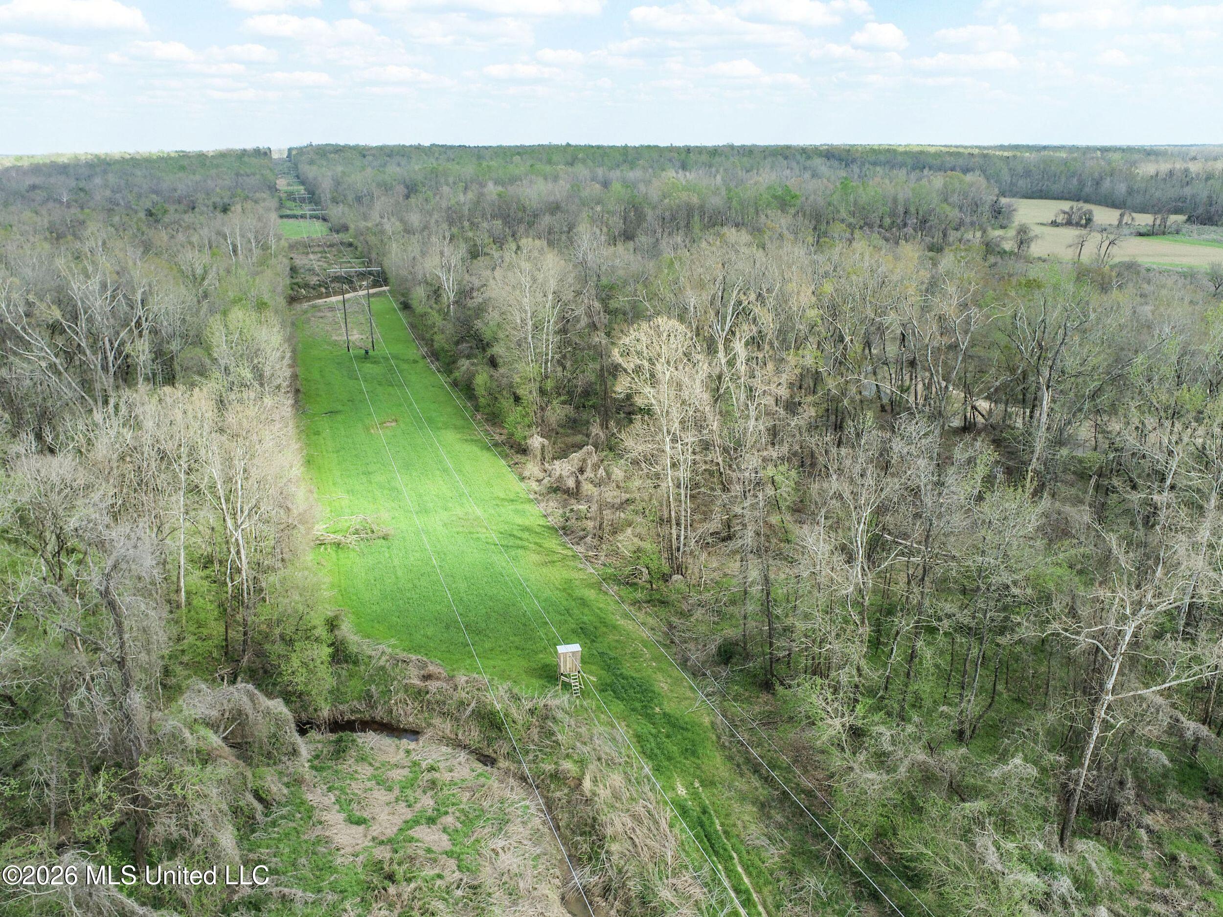 Chinqupin Road Lexington, MS 39095 - Photo 93 of 210 7chqpn23