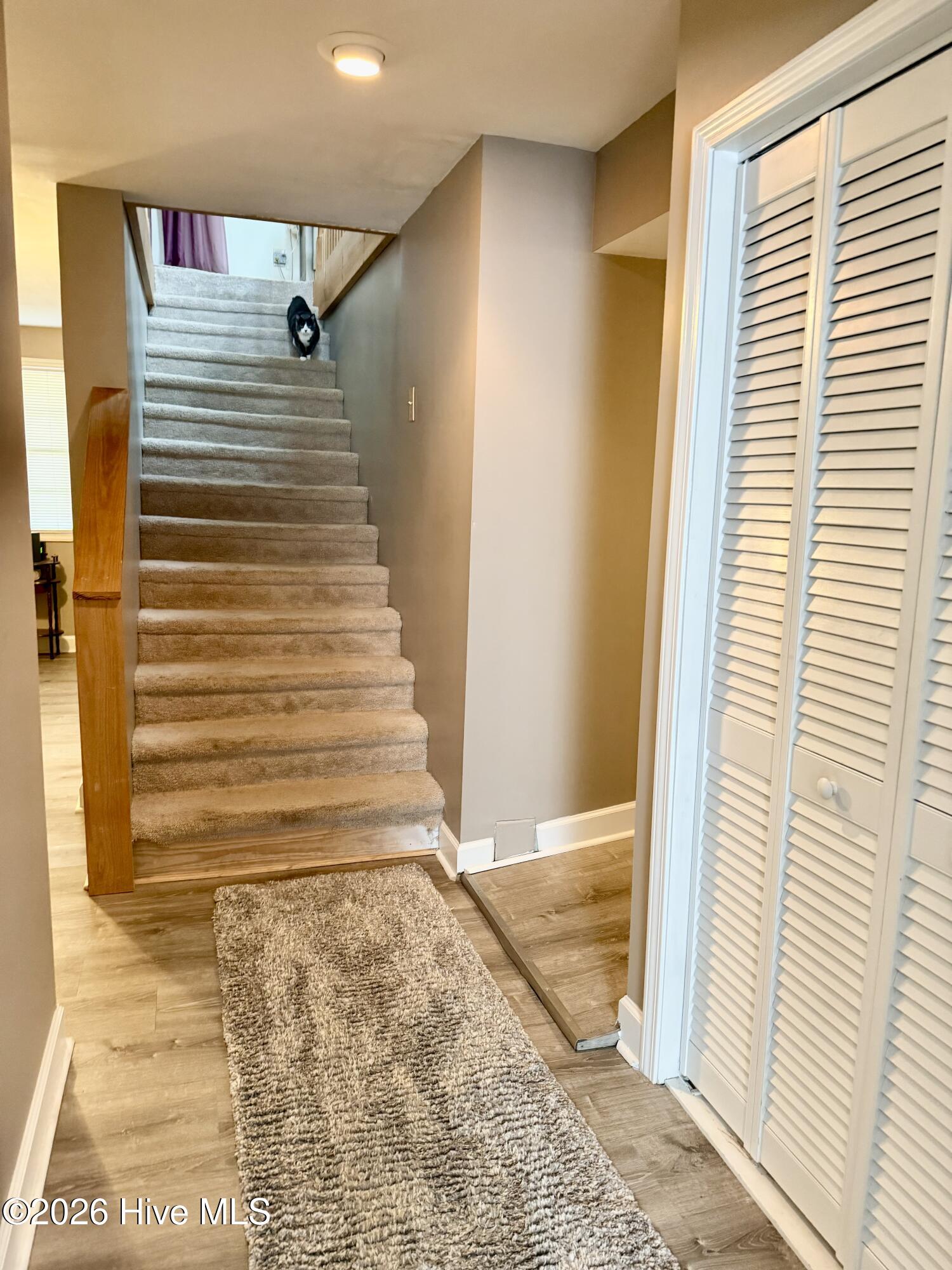 454 Beech Bay Road Roper, NC 27970 - Photo 19 of 44 IMG_7987